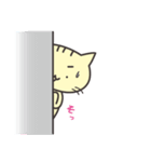 きゃっとの日常（個別スタンプ：11）