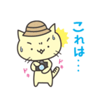 きゃっとの日常（個別スタンプ：13）