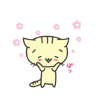 きゃっとの日常（個別スタンプ：30）
