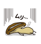 私はしいたけです（個別スタンプ：24）