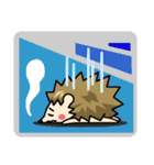 ハリネズミくんの喜怒哀楽（個別スタンプ：13）