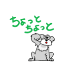 シュナウザーのジャッキー（個別スタンプ：3）