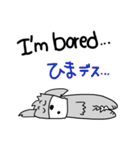 シュナウザーのジャッキー（個別スタンプ：29）