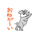 シュナウザーのジャッキー（個別スタンプ：30）