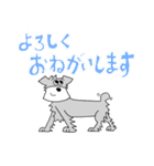 シュナウザーのジャッキー（個別スタンプ：31）