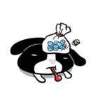 Rabbit Boyu（個別スタンプ：8）