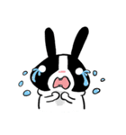 Rabbit Boyu（個別スタンプ：29）