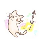 ねこっちの1日。（個別スタンプ：17）