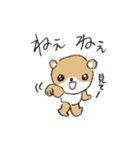 シバクマ（個別スタンプ：1）