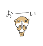 シバクマ（個別スタンプ：3）