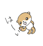 シバクマ（個別スタンプ：7）