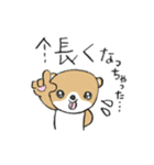 シバクマ（個別スタンプ：29）