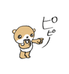 シバクマ（個別スタンプ：34）