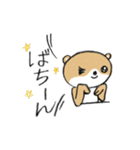 シバクマ（個別スタンプ：36）