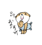 シバクマ（個別スタンプ：40）