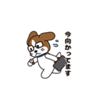 あにまるBiz（個別スタンプ：13）