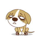 BuBu BuBu（個別スタンプ：24）