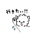 マルチーズのバニラ2（個別スタンプ：16）
