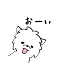 マルチーズのバニラ2（個別スタンプ：17）