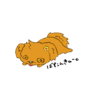 Every day Cork（個別スタンプ：3）