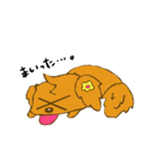 Every day Cork（個別スタンプ：24）