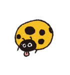 しあわせの黄色いてんとう虫（個別スタンプ：10）