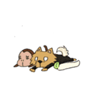 ころん先輩2（個別スタンプ：25）