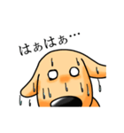しゃべる犬（個別スタンプ：10）