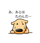 しゃべる犬（個別スタンプ：17）