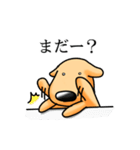 しゃべる犬（個別スタンプ：27）