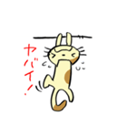 ねこくんといっしょ！（個別スタンプ：1）