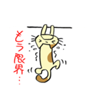 ねこくんといっしょ！（個別スタンプ：2）