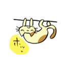 ねこくんといっしょ！（個別スタンプ：3）