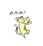 ねこくんといっしょ！（個別スタンプ：25）