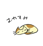ねこくんといっしょ！（個別スタンプ：31）