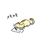 ねこくんといっしょ！（個別スタンプ：37）