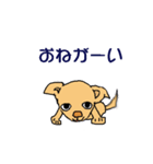 チワワのチワタン（個別スタンプ：2）