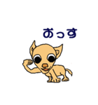チワワのチワタン（個別スタンプ：6）
