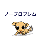 チワワのチワタン（個別スタンプ：7）