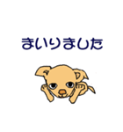チワワのチワタン（個別スタンプ：9）