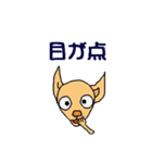 チワワのチワタン（個別スタンプ：15）