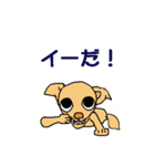 チワワのチワタン（個別スタンプ：17）
