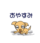 チワワのチワタン（個別スタンプ：21）