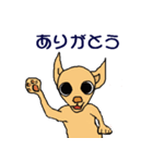 チワワのチワタン（個別スタンプ：27）