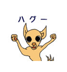 チワワのチワタン（個別スタンプ：28）