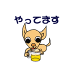 チワワのチワタン（個別スタンプ：31）
