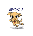 チワワのチワタン（個別スタンプ：39）