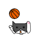 かわいい雄猫ミー スポーツ編 5-1（個別スタンプ：7）