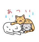 ねこ生活3（個別スタンプ：13）