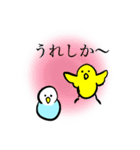 熊本弁のインコ（個別スタンプ：4）